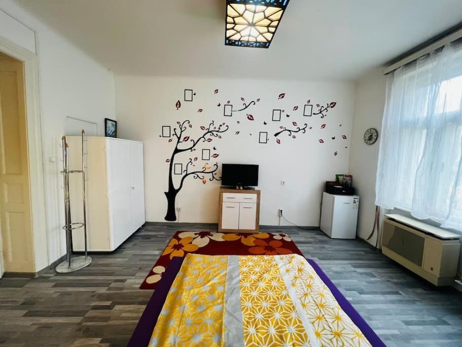 Szeged Apartment Extérieur photo